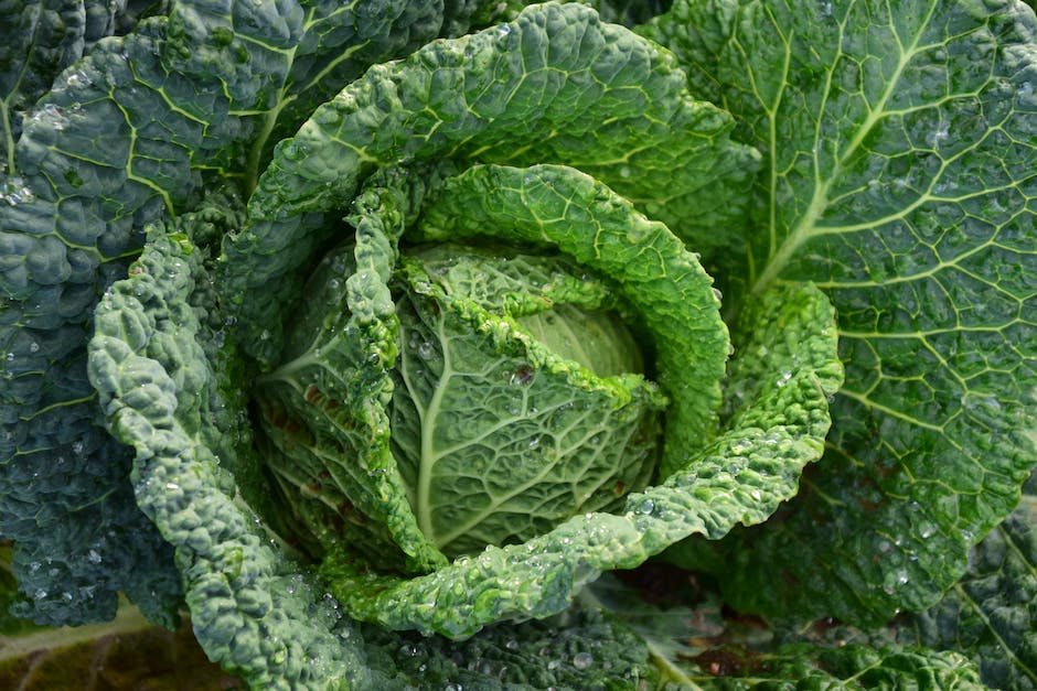  zu viel Schlaf schaden Ihrer Gesundheit