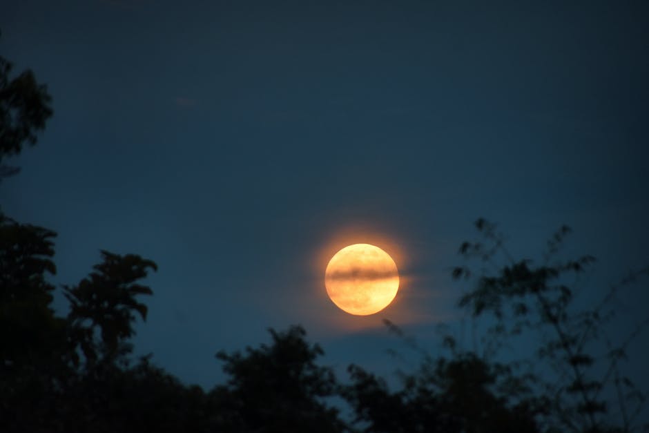  warum Vollmond Schlafstörungen verursachen