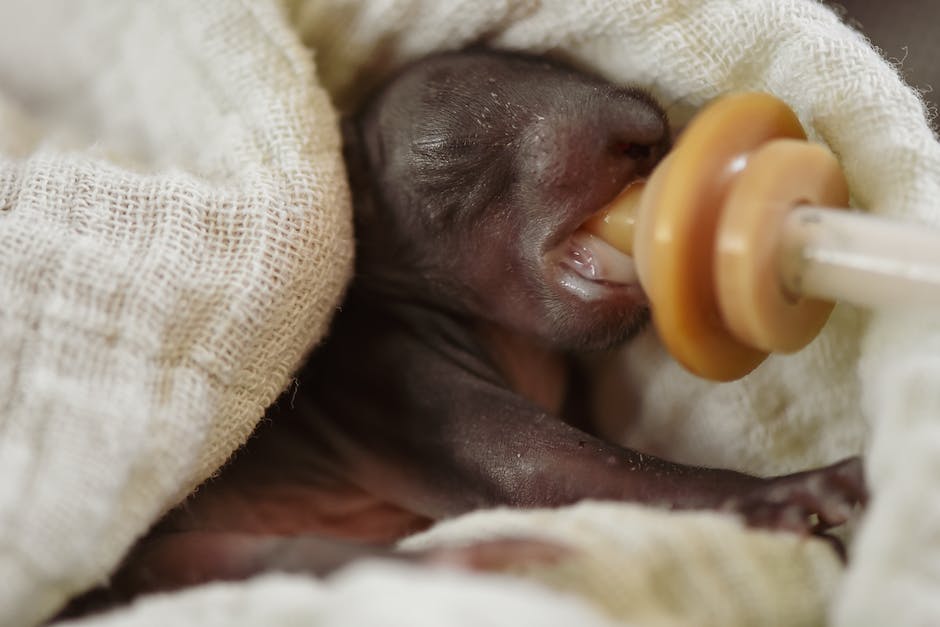 Warum Babys mit dem Po nach Oben schlafen