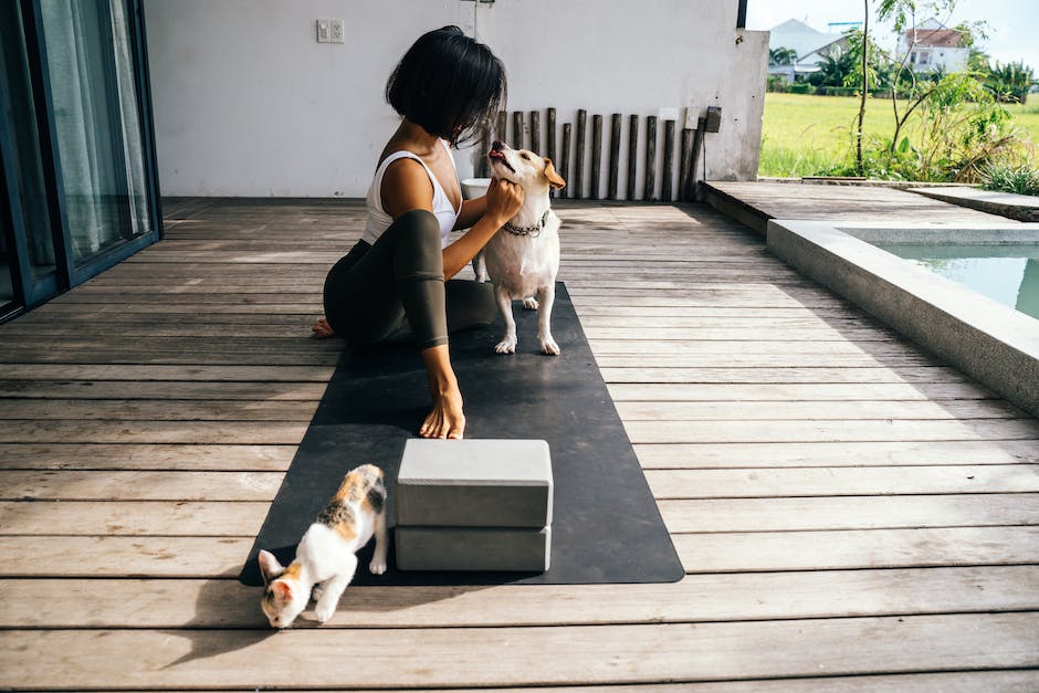  Warum Hunde an den Füßen schlafen