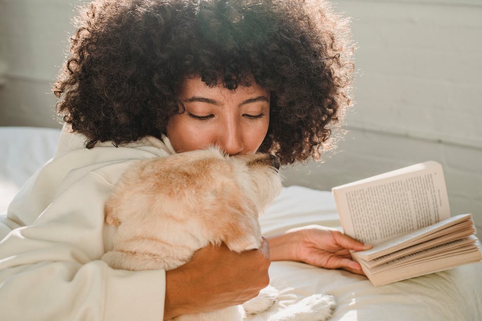 Hunde im Bett schlafen lassen - Gründe und Erfahrungen