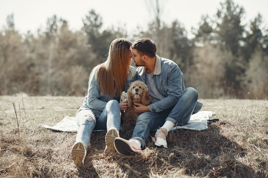 Warum heulen Hunde im Schlaf wie Wölfe