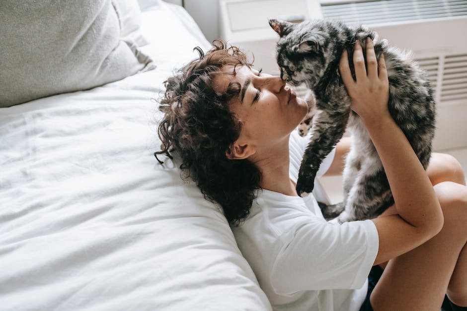 Hundebetten im Schlafzimmer Vorteile