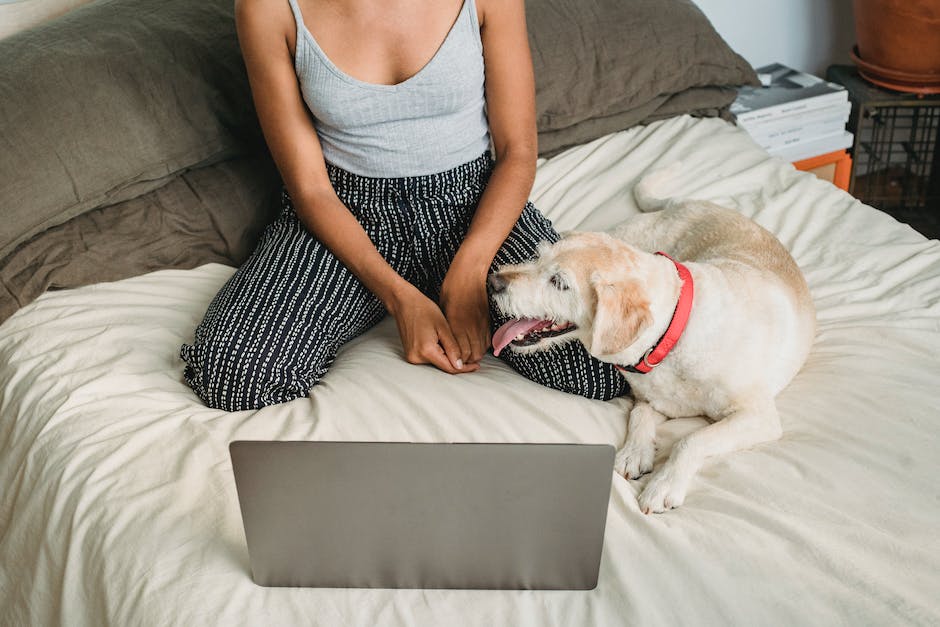  Bild zeigt Hund im Bett: warum Hunde nicht im Bett schlafen sollten