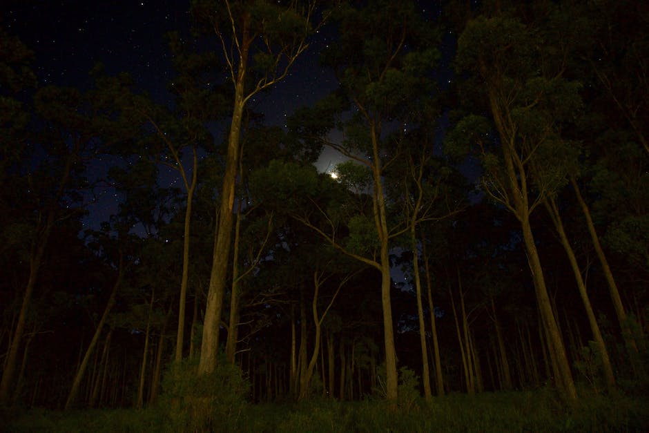  Schlafstörungen bei Vollmond