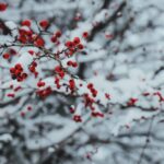 Schlafbedürfnis im Winter erhöhen