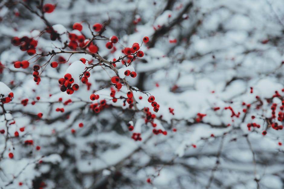 Schlafbedürfnis im Winter erhöhen