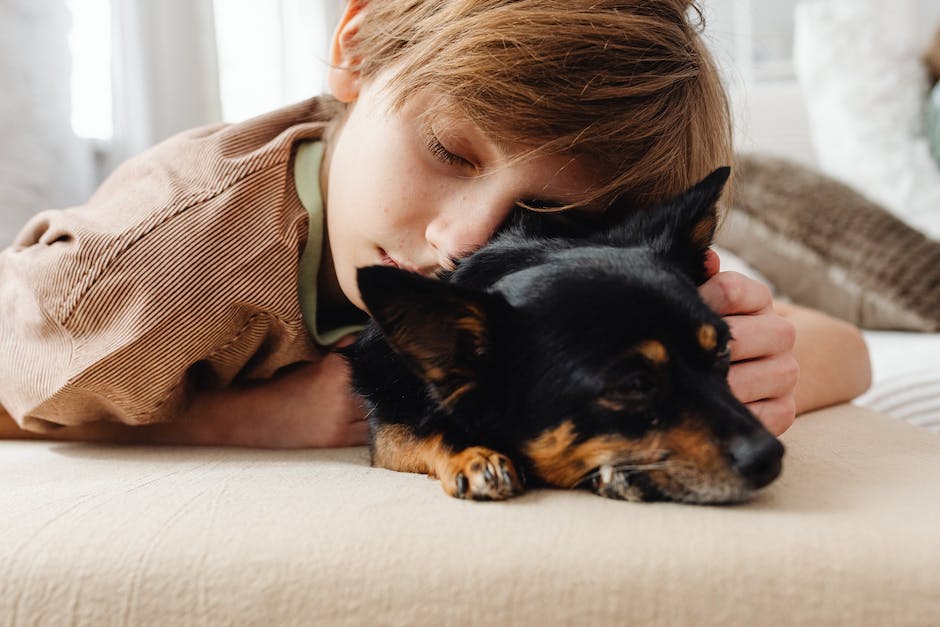  Warum schlafen Hunde gerne auf dem Rücken?