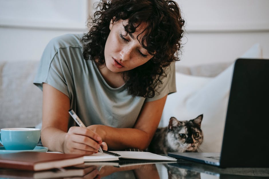  warum Katzen bei Menschen schlafen