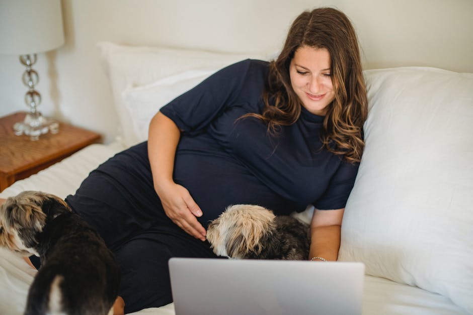  Warum Hunde nicht im Bett schlafen sollten