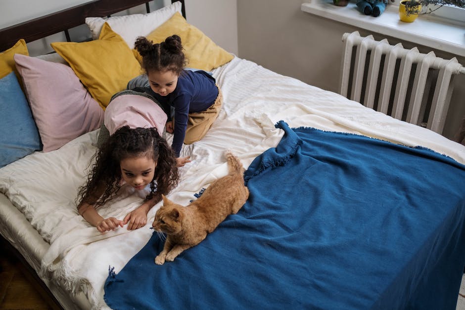  Katzen lieben es im Bett zu schlafen