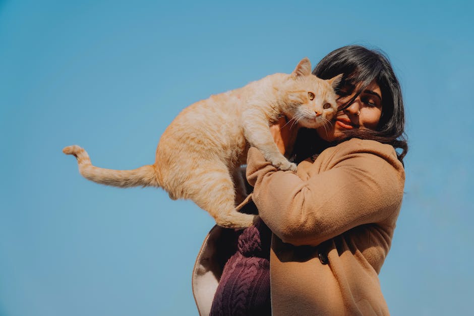  Katze im Schlaf zuckend erklärt