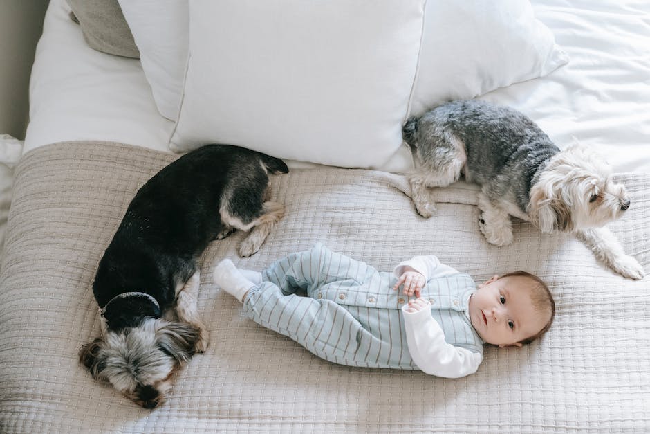 Länger schlafen im Beistellbett: Tipps für Babys