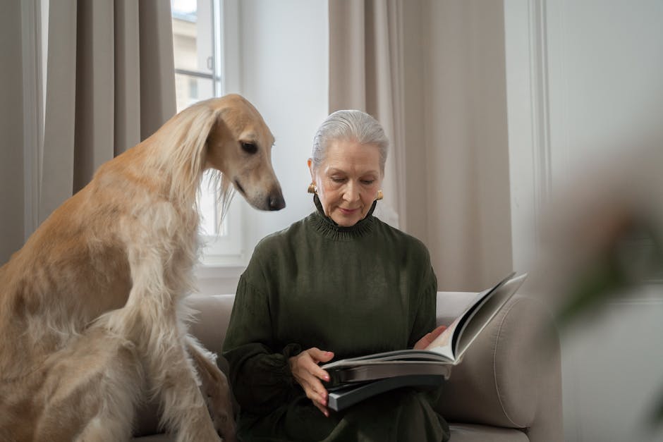 Ältere Hunde Schlafdauer